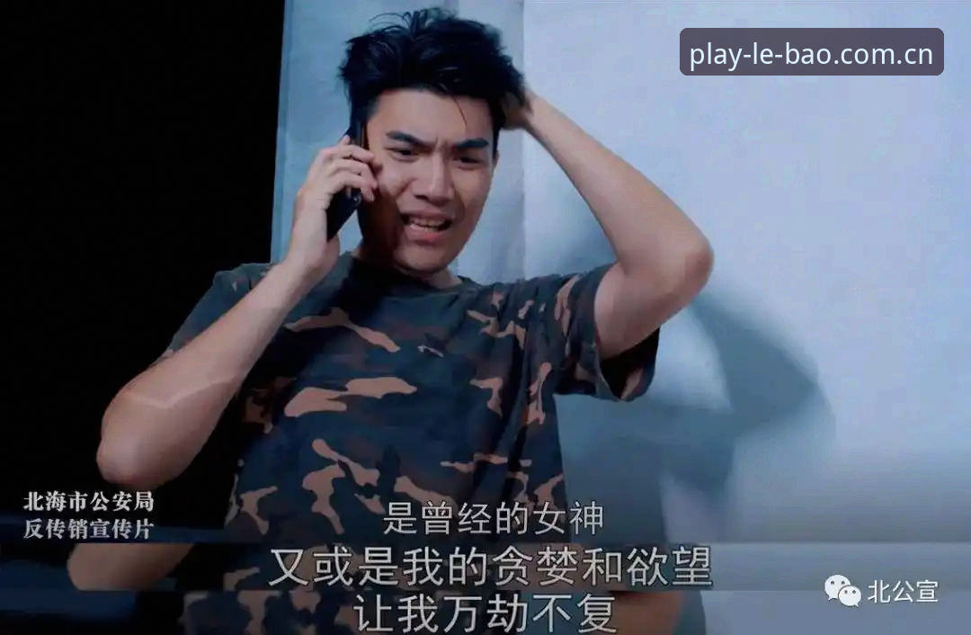 深度揭秘：LEBAO中文官网安装失败背后的真相与解决之道
